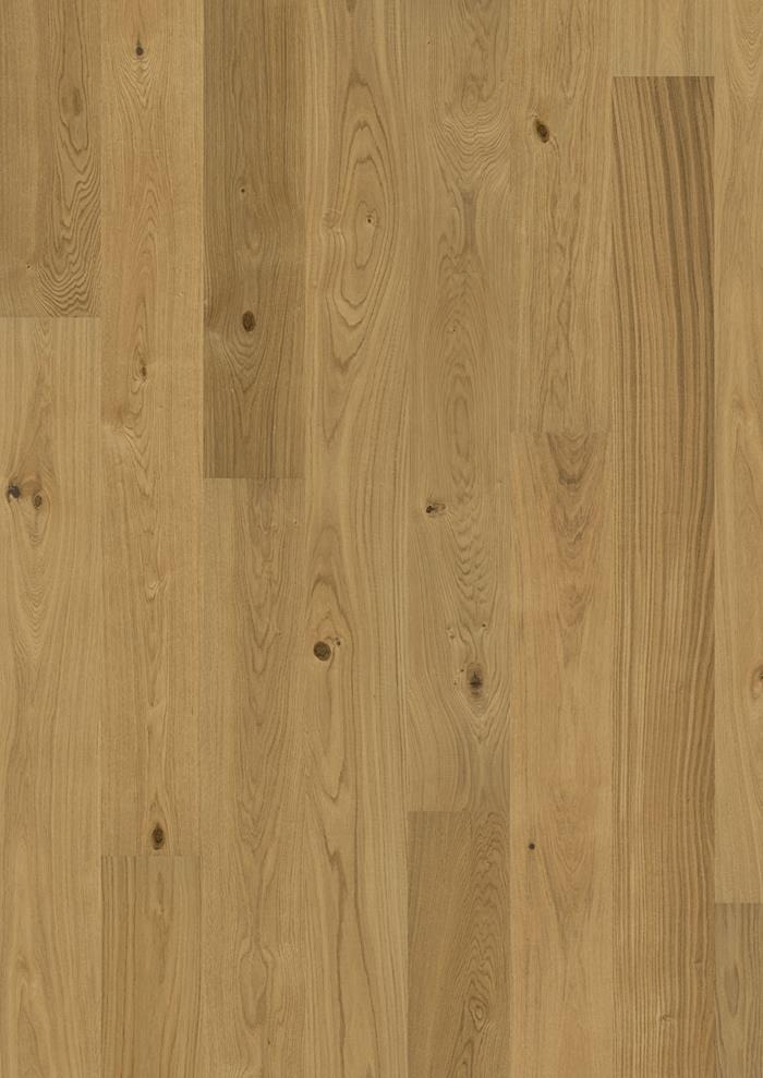 Oak Cornwall